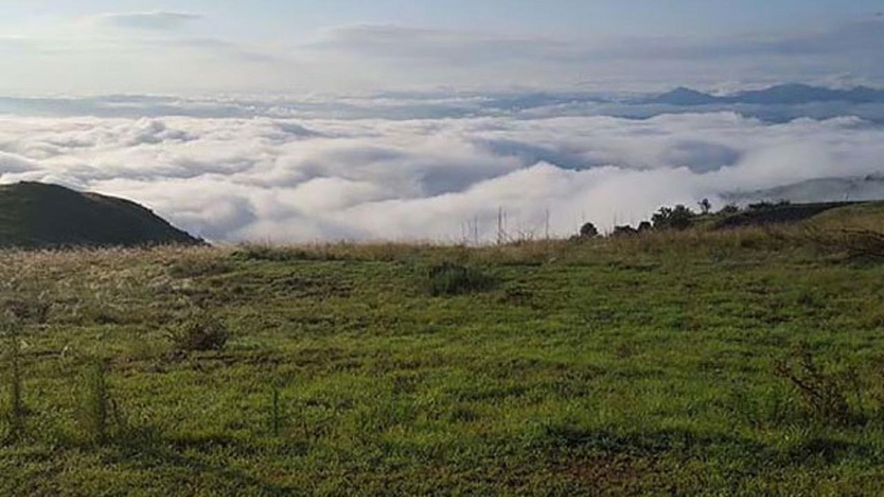 فيلا Windmill Farm بيرغفيل المظهر الخارجي الصورة